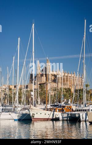 Catedral de Palma desde Moll de la Riba Foto Stock