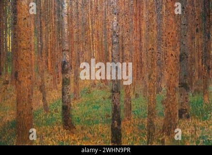 Dipinto di Gustav Klimt nel 1901, olio su tela, chiamato 'Pine Forest II' in mostra al Museo d'Arte di Baltimora Foto Stock