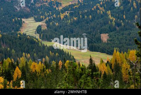 Alberi di Larche in una valle in autunno. Stazione sciistica nelle alpi. Paesaggio autunnale nella foresta. Foto Stock
