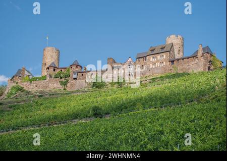 Castello di Thurant Foto Stock