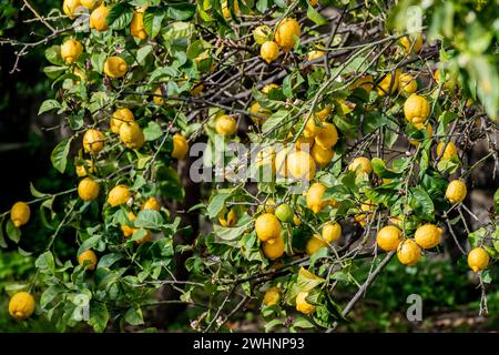 Dettagli ravvicinati dell'isola di Stromboli Foto Stock