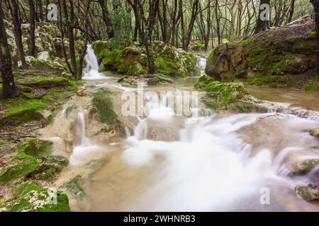 Torrente es Freu. Orientare Foto Stock