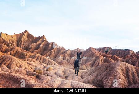 Bizzarre formazioni rocciose nel deserto di Tatacoa, Colombia Foto Stock