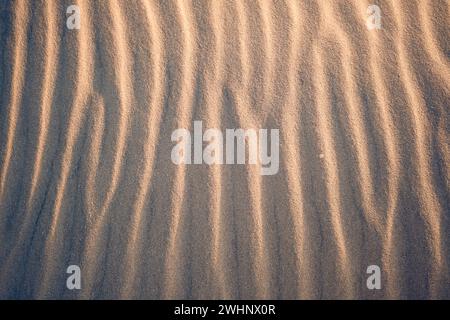 Sabbia in spiaggia la sera Foto Stock