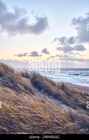 Percorso attraverso dune ghiacciate sulla costa danese Foto Stock