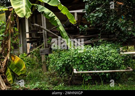 Pile di vecchie tavole di legno usate nel giardino. Foto Stock