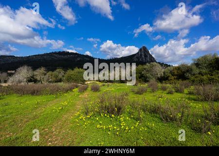 Puig de ses Bruixes de 355 m. Foto Stock