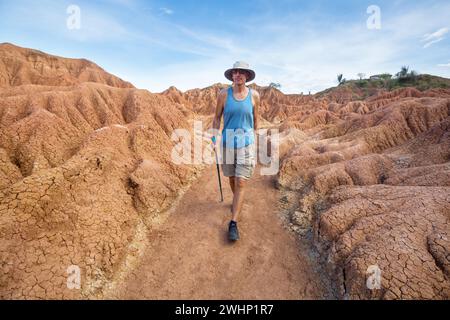 Bizzarre formazioni rocciose nel deserto di Tatacoa, Colombia Foto Stock