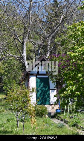 Giardino antico: Stretto tra alberi e cespugli possenti. Portato in un vecchio frutteto sul Lemberg vicino a Stoccarda. Foto Stock