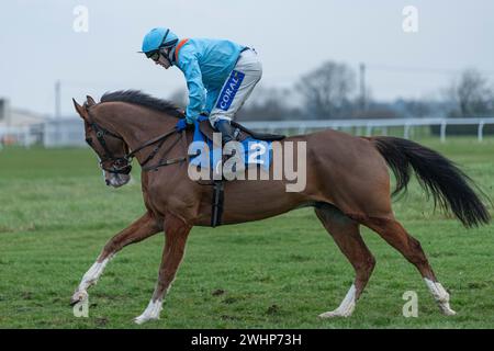 Sesta gara a Wincanton, 2 marzo 2022 Foto Stock