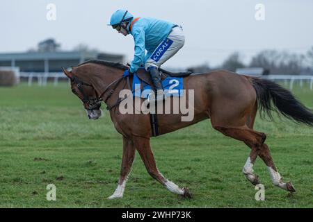 Sesta gara a Wincanton, 2 marzo 2022 Foto Stock