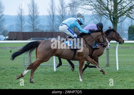 Sesta gara a Wincanton, 2 marzo 2022 Foto Stock