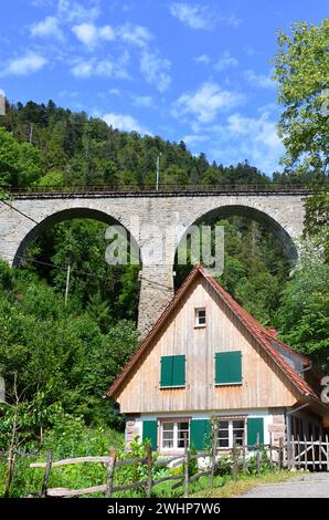 Ponte nel Canyon Ravennaschlucht nella Foresta Nera, Baden - Wuerttemberg Foto Stock