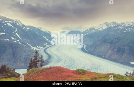 Il ghiacciaio Salmon famoso in tutto il mondo in Alaska, Stati Uniti Foto Stock