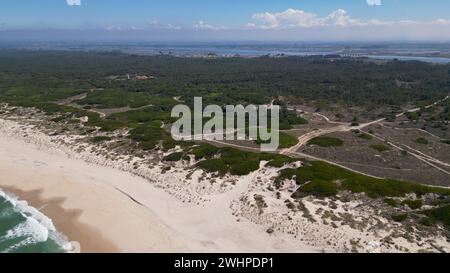 Vista laterale delle onde che si infrangono sulla spiaggia sabbiosa Foto Stock