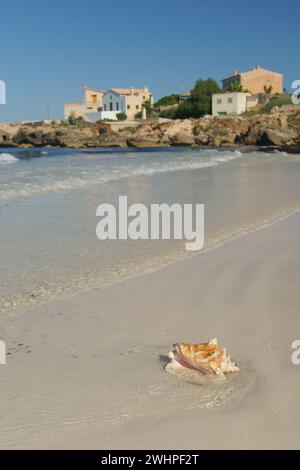 Spiaggia di es Trenc. Campos. Migjorn.Mallorca.Balearic Islands.Spain. Foto Stock