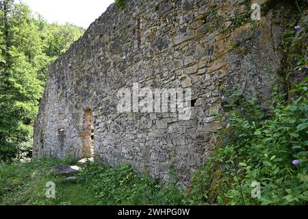 Rovine del castello della chiesa di Gossam, Austria Foto Stock