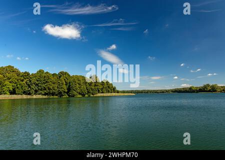 Vista sul lago Olow a Ryn in Polonia Foto Stock