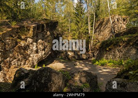 La rovina dei bunker della tana del lupo o in tedesco Wolfsschanze vicino a KÄ™trzyn in Polonia Foto Stock