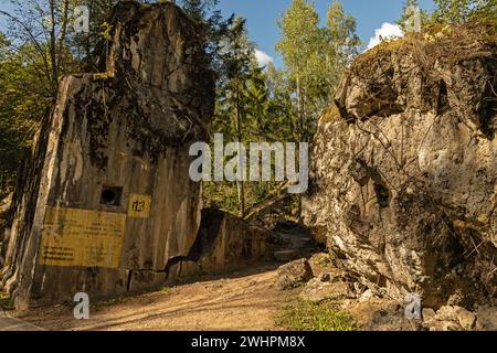 La rovina dei bunker della tana del lupo o in tedesco Wolfsschanze vicino a KÄ™trzyn in Polonia Foto Stock