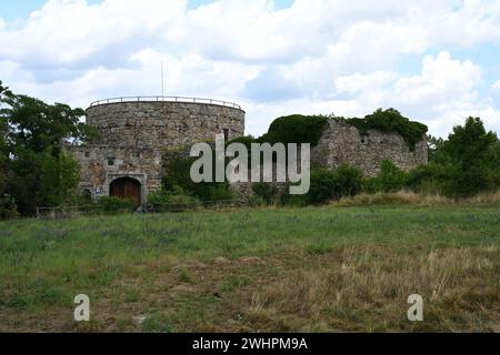 Castello rovina Schrattenthal, Austria Foto Stock