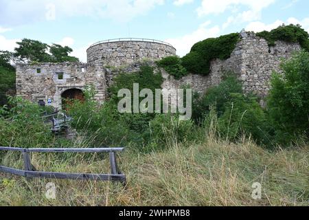 Castello rovina Schrattenthal, Austria Foto Stock