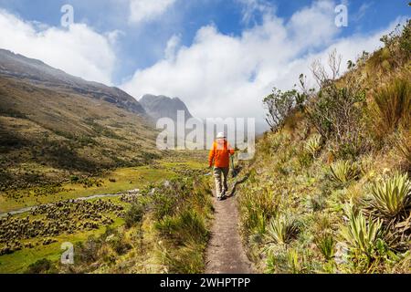 Escursione in Colombia Foto Stock