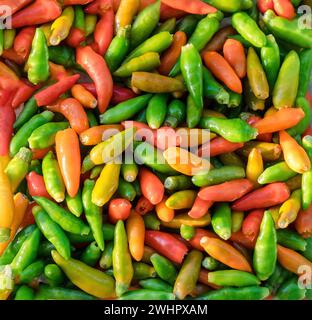 Ingredienti Hot chilis cibo colorato sfondo Foto Stock