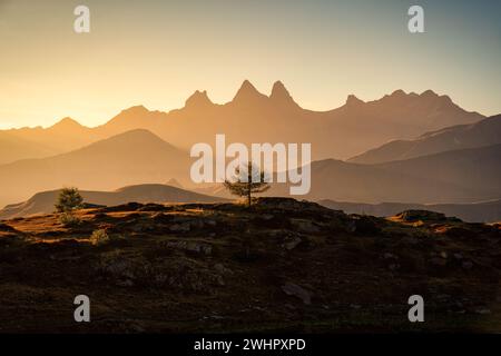 Pittoresco paesaggio di alba dorata sul massiccio dell'Arves con albero solitario sul Lac Guichard alle Alpi francesi, Francia Foto Stock