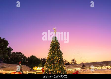 Albero di Natale decorato con palla, luce che si illumina al tramonto al mercatino di Natale durante il festival di Capodanno Foto Stock
