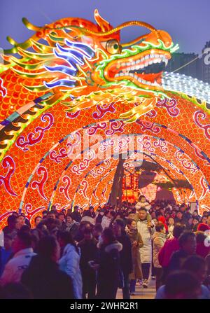 Pechino, Cina. 10 febbraio 2024. Questa foto scattata il 10 febbraio 2024 mostra le installazioni di luci a Luoyang, nella provincia di Henan, nella Cina centrale. L'illuminazione e l'apprezzamento delle lanterne durante il Festival di primavera sono una tradizione storica in Cina. Crediti: Huang Zhengwei/Xinhua/Alamy Live News Foto Stock