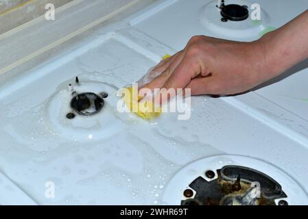 Nell'immagine, una donna lava la superficie di una stufa a gas con una spugna e detergenti. Foto Stock