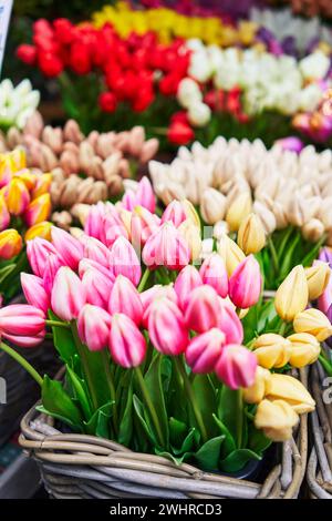 I vivaci tulipani in cesti sono esposti in un mercato di fiori, evidenziando la bellezza naturale e l'orticoltura stagionale. Foto Stock