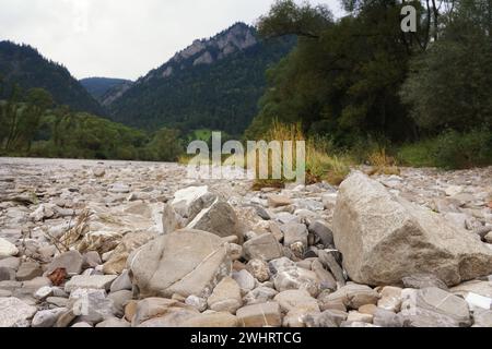 Pietre sulla riva di un fiume di montagna, jasień sul fiume Dunajec, tre corone sullo sfondo Foto Stock