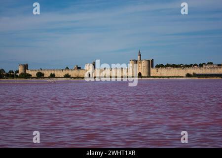 Giardini di sale di fronte alla città di Egmont nella francia meridionale Foto Stock