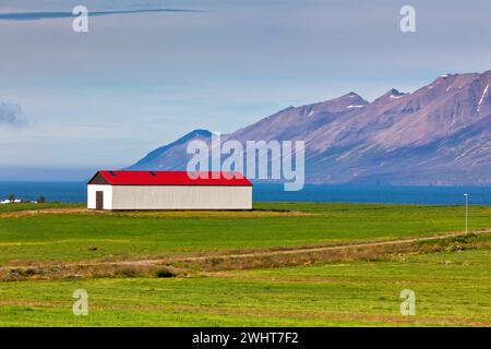 Casa islandese di White Siding con tetto rosso Foto Stock