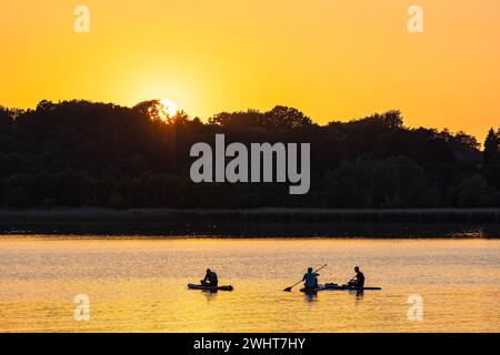 Surf Paddlers sul Warnow al tramonto nella città anseatica di Rostock. Foto Stock