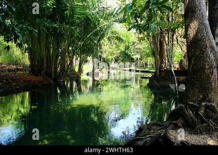 Piscine naturali di acqua dolce con foresta pluviale incontaminata, Klong Srakaew Foto Stock