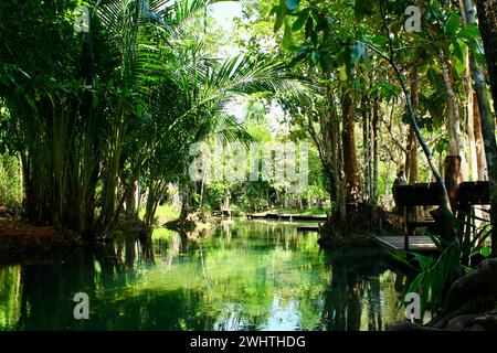 Piscine naturali di acqua dolce con foresta pluviale incontaminata, Klong Srakaew Foto Stock