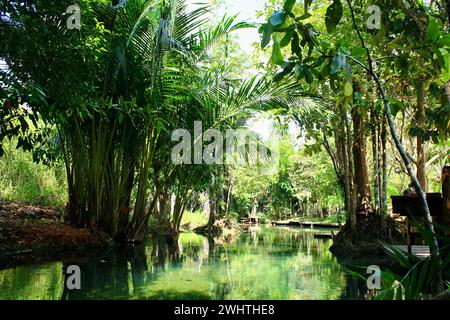 Piscine naturali di acqua dolce con foresta pluviale incontaminata, Klong Srakaew Foto Stock