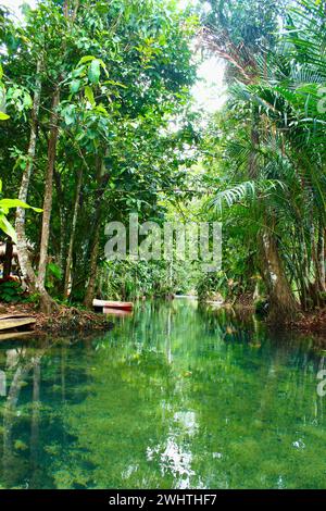 Piscine naturali di acqua dolce con foresta pluviale incontaminata, Klong Srakaew Foto Stock