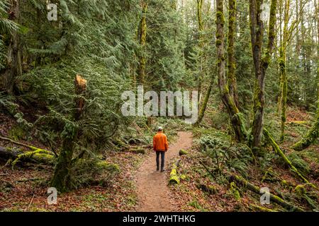 WA25045-00...WASHINGTON - camminate sul sentiero da High Point Trailhead a PooPoo Point e oltre nell'area delle Alpi Issaquah. Foto Stock