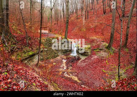 La cascata nella foresta di Rautal a Burschenplatz in inverno, Jena, Turingia, Germania Foto Stock