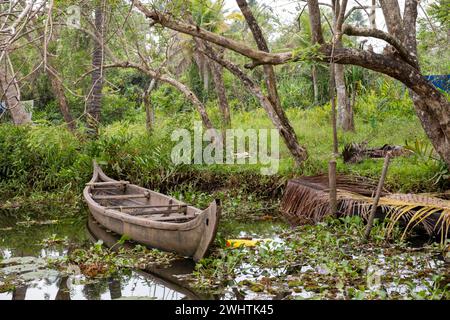 Vecchia barca a remi abbandonata sulle rive di un canale, circondata da vegetazione lussureggiante, backwaters del Kerala, India Foto Stock