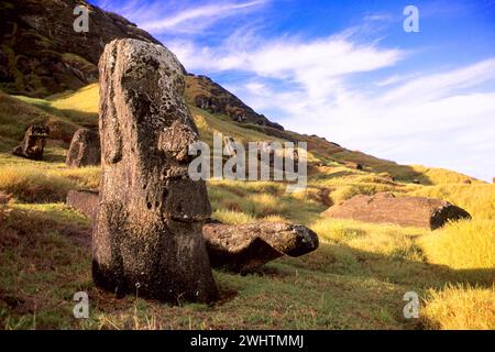 Sud America, Cile, Pacifico, Moais sull'Isola di Pasqua, Ranu Raraku, Rano Raraku, Isola di Pasqua, Cile Foto Stock