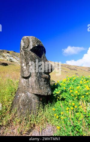 Sud America, Cile, Pacifico, Moais sull'Isola di Pasqua, Ranu Raraku, Rano Raraku, Isola di Pasqua, Cile Foto Stock