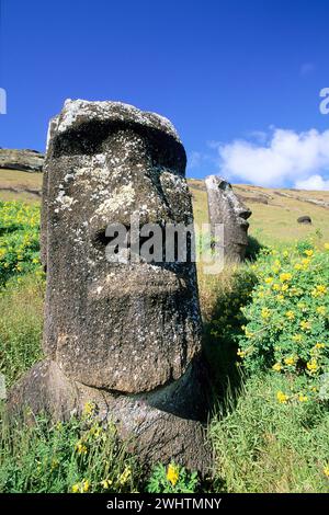 Sud America, Cile, Pacifico, Moais sull'Isola di Pasqua, Ranu Raraku, Rano Raraku, Isola di Pasqua, Cile, sud America Foto Stock