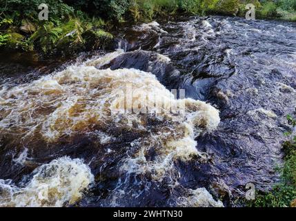 Rapide nel fiume Rur, Monschau, Eifel, regione della città di Aquisgrana, Renania settentrionale-Vestfalia, Germania Foto Stock