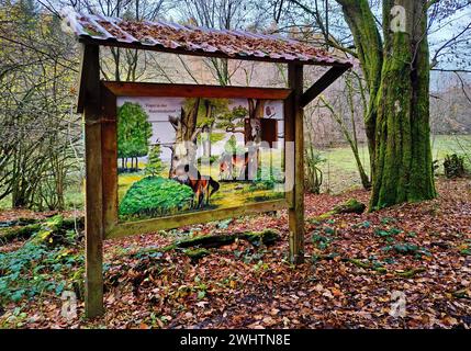 Scheda informativa nel parco naturale Hutewald Solling-Vogler, Nienover, Bodenfelde, Weserbergland, bassa Sassonia, Germania Foto Stock