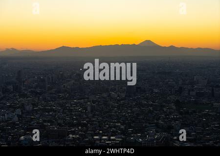 Tokyo, Giappone. 9 gennaio 2024. Monte Fuji visto al tramonto dal centro della città Foto Stock